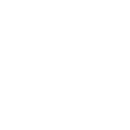 Our Service